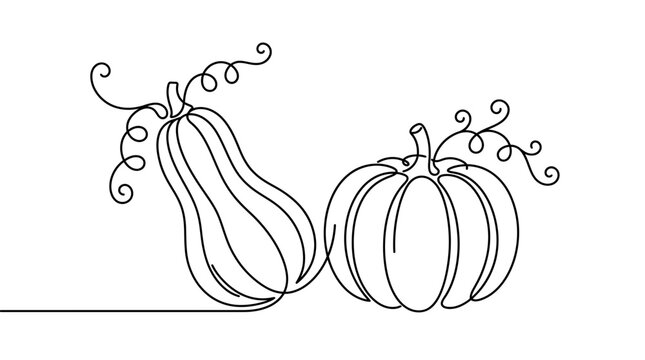 Squash and pumpkin drawn with minimal single stroke outlines in a simple black and white design.
