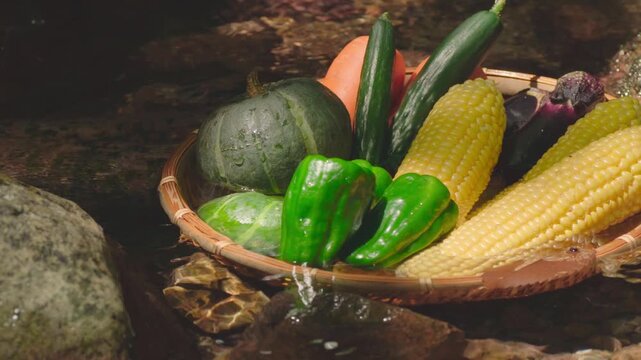 清流につけた夏野菜