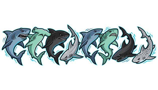 Seamless border pattern with various shark species including great white hammerhead tiger and bull sharks