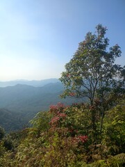 Fototapeta premium autumn in the mountains