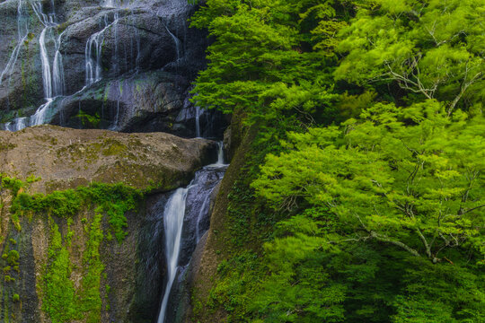 袋田の滝