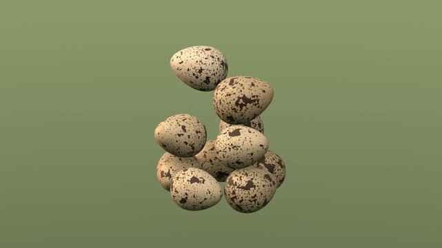 Quail eggs on green background. 3d rendering