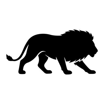 Black singa lion silhouette walking side view graphic for logo design wildlife concept