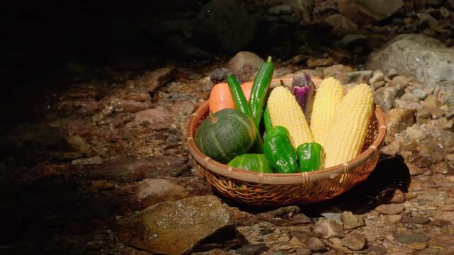 清流に浸した夏野菜