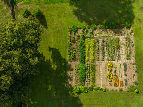 Aerial view of a rectangular vegetable and flower garden with organized rows of plants and stone pathways, surrounded by a lush green lawn and a large tree in Anyksciai, Utena County, Lithuania.