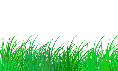 Obraz premium Fresh green grass blades isolated on transparent background for nature design elements