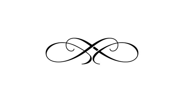 Elegant black calligraphic flourish isolated on a white background for wedding invitation design