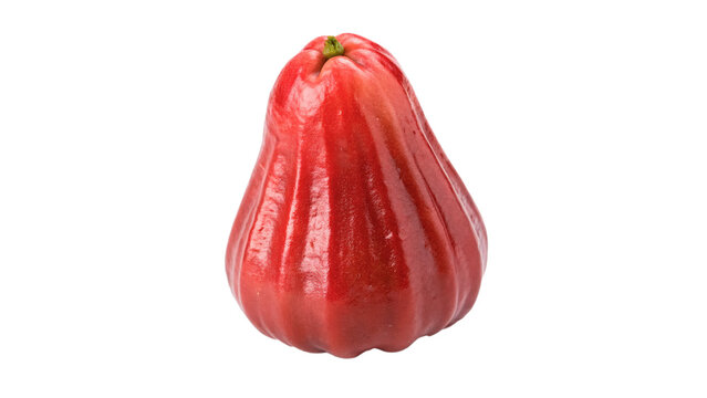 Single whole fresh red wax apple rose apple tropical exotic fruit isolated on transparent background