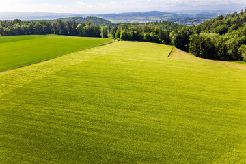  Rural pastoral. Bird's eye view. © Kushnirov Avraham