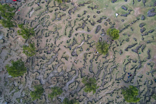 Aerial view of Guliakhali Sea Beach with unique cracked mud patterns, lush green grass, scattered trees, and people walking across the landscape in Chattogram, Chittagong Division, Bangladesh.