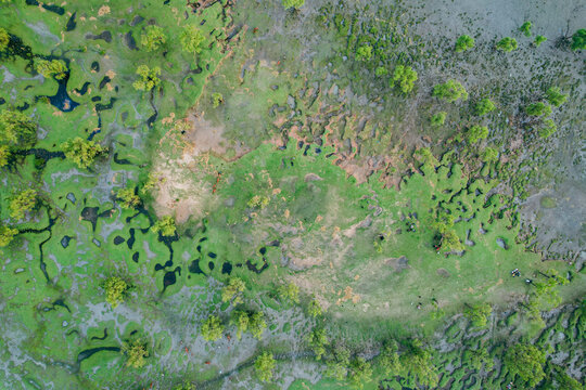 Aerial view of Guliakhali Sea Beach featuring lush green vegetation, tidal pools, and intricate patterns in the landscape in Chattogram, Chittagong Division, Bangladesh.