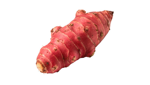 Single fresh raw exotic red ulluco oca tuber vegetable isolated on transparent background cut out