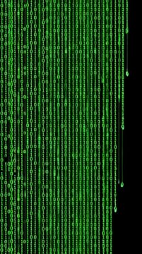 Binary Code  green screen HD stock commercial value video.