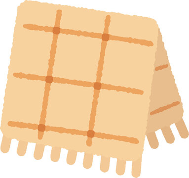 Cozy plaid wool blanket with fringes