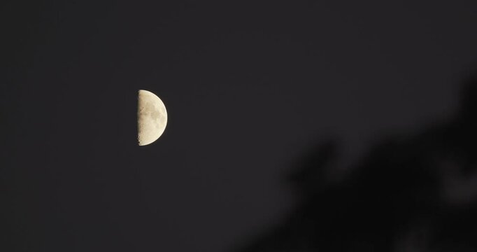 Bright half moon glowing in the dark night sky