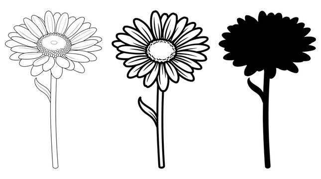 Gerbera flower bloom black outline silhouette set of three, vector illustration on transparent background for floral designs.