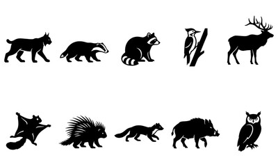 Obraz premium Minimalist vector collection featuring various wild forest animals silhouettes arranged in clean rows for professional creative graphic design project use
