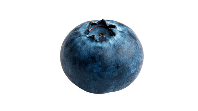 Single large fresh organic ripe blue blueberry berry close up isolated on transparent background cut out