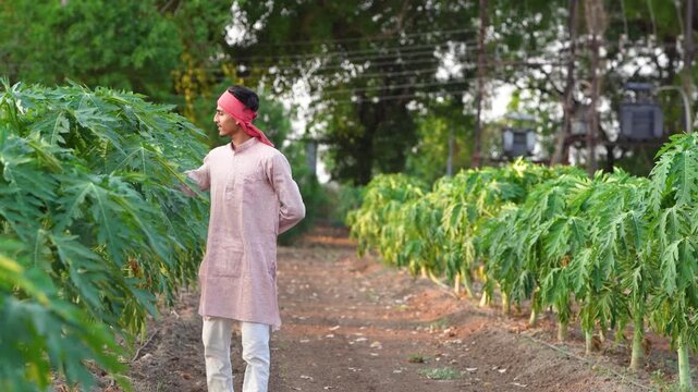 young indian farmer standing at green papaya field