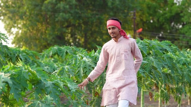 young indian farmer standing at green papaya field