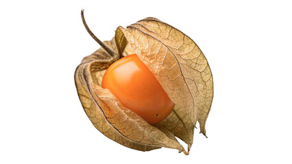 Fresh orange physalis cape gooseberry fruit isolated on transparent background © 1png-stock
