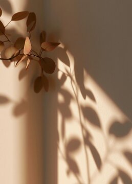 Close-up of a plant with green leaves. the leaves are arranged in a way that they are casting a shadow on the wall behind it. the wall is a light beige color and the leaves are a warm brown color.