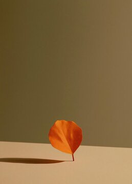Photograph of a single orange leaf on a beige background. the leaf is in the center of the image, with its stem and leaves facing towards the right side of the frame.