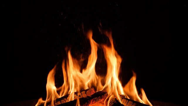 Campfire flames dancing at night with glowing embers in a dark forest setting