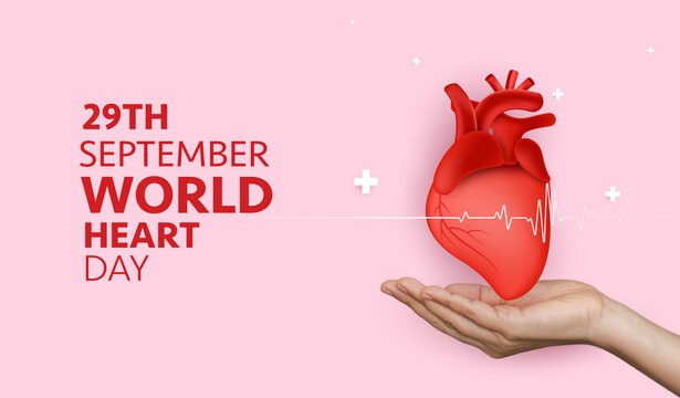 World Heart Day banner vector background with red anatomical heart in hand and heartbeat line for 29th September cardiovascular health awareness, cardiology medical care and campaign promotion design