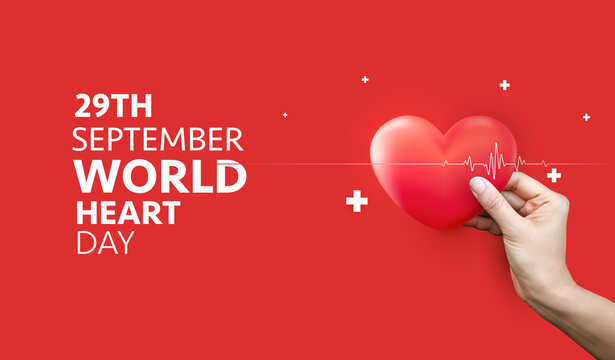 World Heart Day banner vector background with red anatomical heart in hand and heartbeat line for 29th September cardiovascular health awareness, cardiology medical care and campaign promotion design