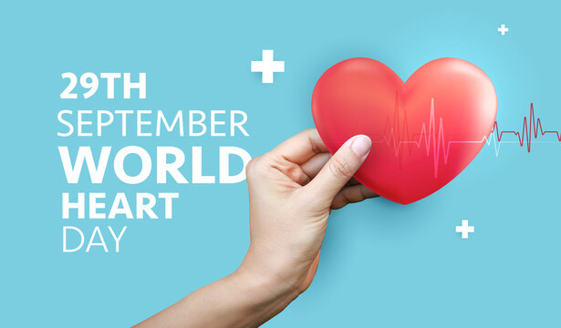 World Heart Day banner vector background with red anatomical heart in hand and heartbeat line for 29th September cardiovascular health awareness, cardiology medical care and campaign promotion design