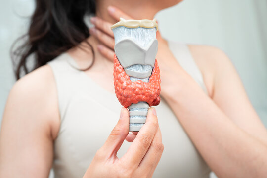 Hyperthyroidism, Overactive Thyroid, Thyroid Lymphoma, Asian woman with thyroid gland human anatomy model.