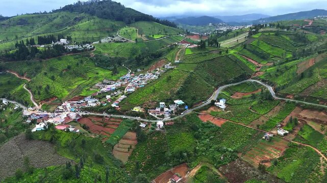 Aerial view of tea plantation village with hairpin curve road in Ooty Western Ghats India