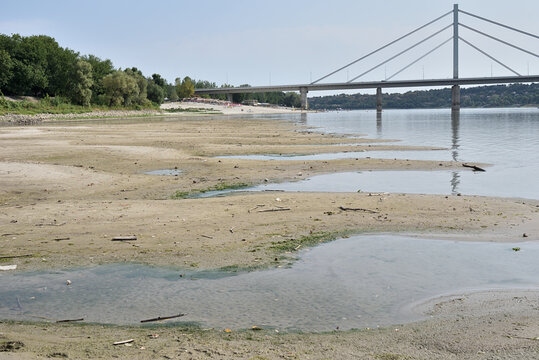 Low river water level on the Danube with suspended cargo ship navigation due to severe hydrological drought and climate change