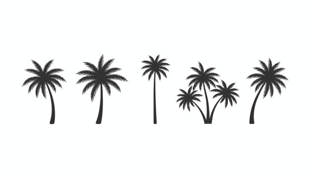 Five dark black palm tree silhouettes of varying shapes and configurations, isolated on a clean white background.