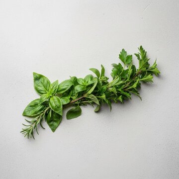 Assortment of fresh culinary herbs including basil leaves, rosemary sprigs, and flat-leaf parsley arranged diagonally on a light grey textured stone surface. Flat lay top view.