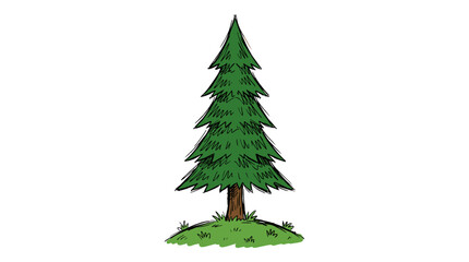Fototapeta premium Charming Hand-Drawn Doodle Sketch of a Single Tall Evergreen Pine Tree for Nature Illustration
