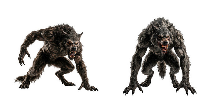 Two aggressive werewolf creatures in dynamic poses isolated on transparent background