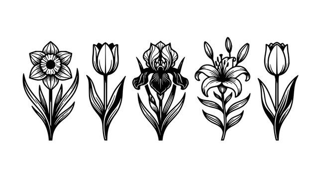 Five stylized flowers set with minimalist line art featuring daisy, rose, tulip, sunflower, and poppy with green stems and leaves and abstract background