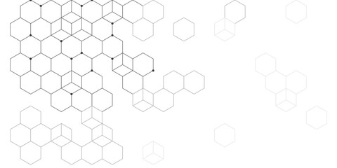Fototapeta premium Black and white hexagon dot and line network abstract background, clean line hexagons with circular nodes, modern design for banner, presentation and cover.