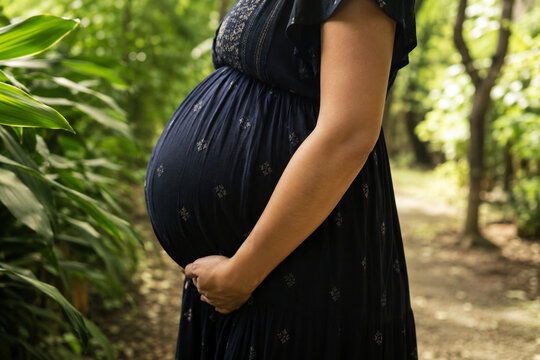 Pregnant Woman Holding Baby Bump in Lush Green Garden During Maternity Pregnancy
