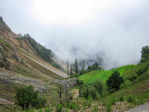 Misty Mountain Slope with Green Grass and Trees