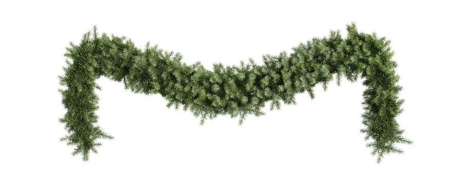 green grass isolated on white