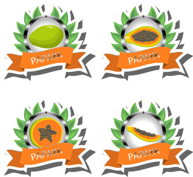 Fruit theme from set juicy delicious papaya of various sizes