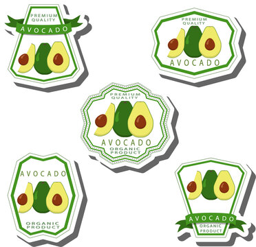 Fruit theme from set juicy delicious avocado of various sizes