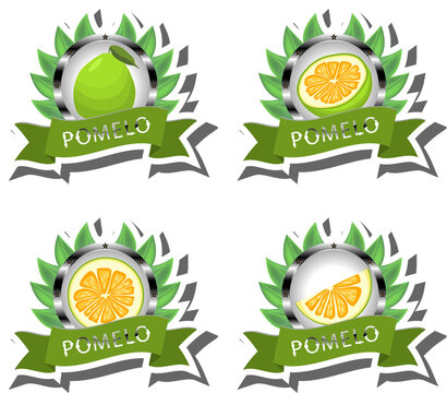 Fruit theme from set juicy delicious pomelo of various sizes