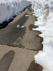 Obraz premium Snow-lined path with wet asphalt
