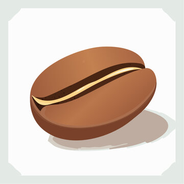 coffee beans vector