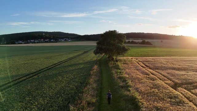 Aerial drone push in shot of a solitary hiker walking on a grassy path through golden wheat fields and green meadows in Hesse, Germany during a scenic sunset.