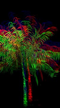 Animation of palm tree over black background